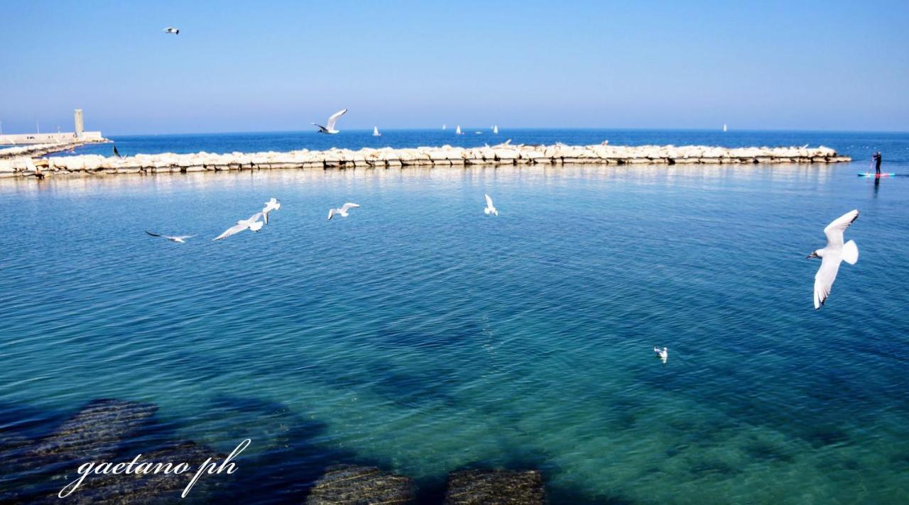 Putignani 210 Apartment Bari Dış mekan fotoğraf